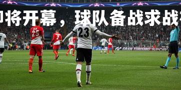 九游会-欧预赛即将开幕，球队备战求战在近 个字，欧预赛出线球队